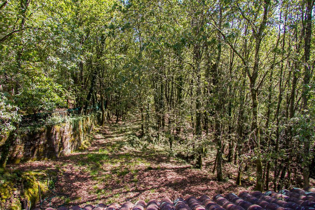 Liiiving In Caminha | Oak Tree Chill House Villa Exterior photo